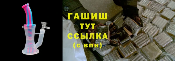 индика Бронницы