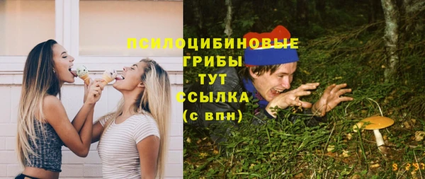 Альфа ПВП Верхний Тагил