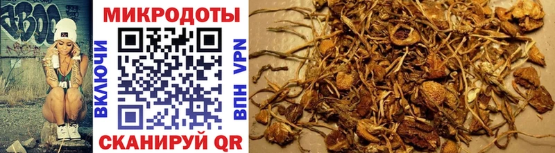 Псилоцибиновые грибы Magic Shrooms  Кисловодск 